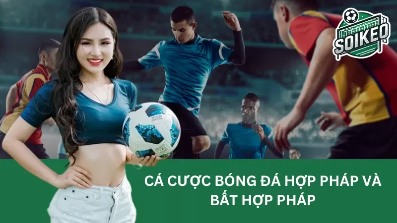 Cùng tìm hiểu về cá cược bóng đá hợp pháp và bất hợp pháp