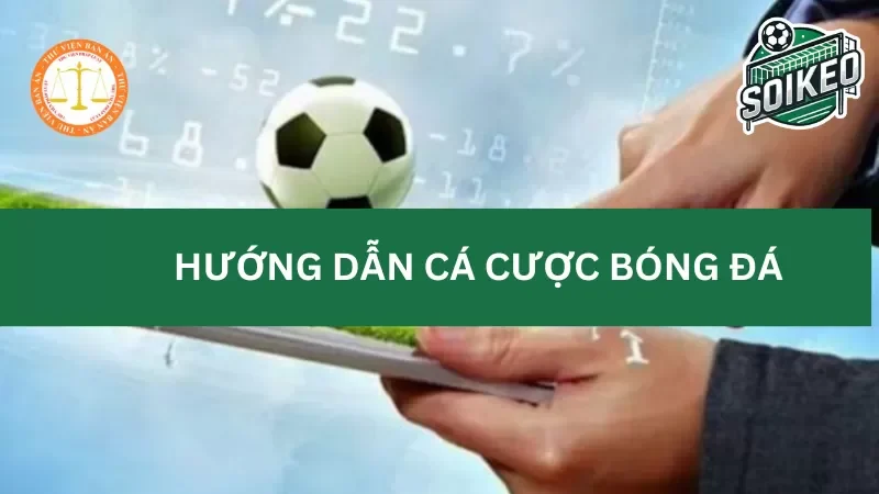 các bước cơ bản để bắt đầu cá cược bóng đá