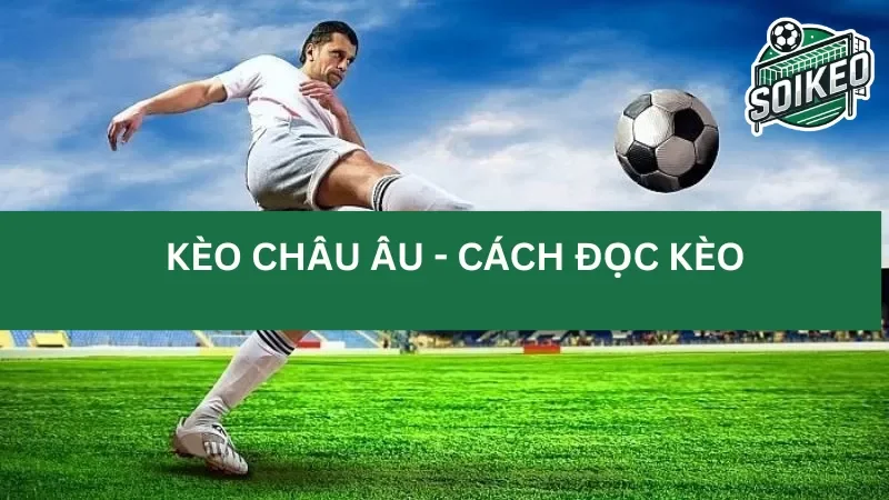 Hướng dẫn chi tiết cách đọc kèo Châu Âu (1X2) cho các tay mơ