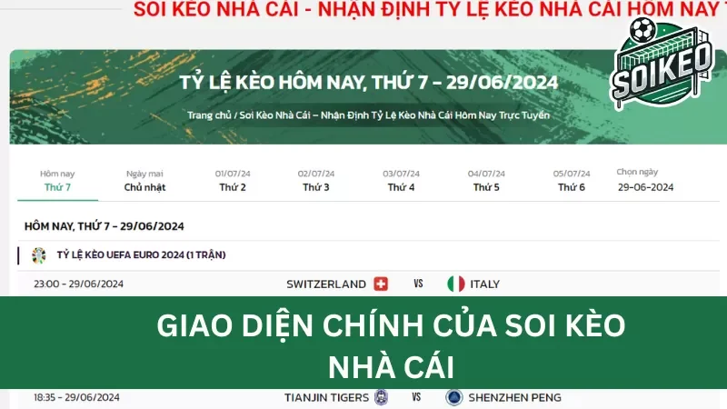 giới thiệu tổng quan về trang web Soikeonhacai.news