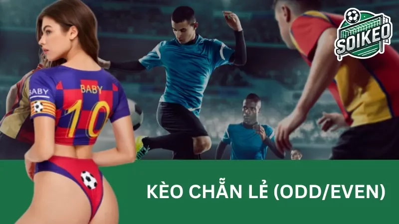 Cách dự đoán kèo chẵn lẻ (odd/even) hiệu quả không thể bỏ lỡ