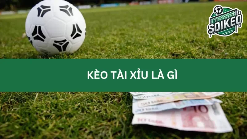 Luật chơi kèo tài xỉu mà mọi bet thủ đều phải biết