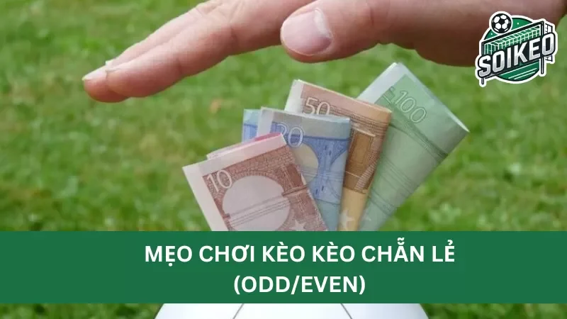 đánh giá kỹ lưỡng phong cách thi đấu của hai đội