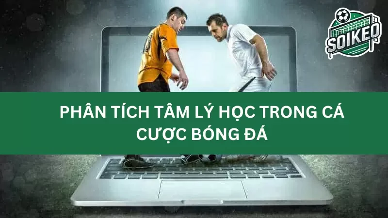 những sai lầm phổ biến về tâm lý trong cá cược