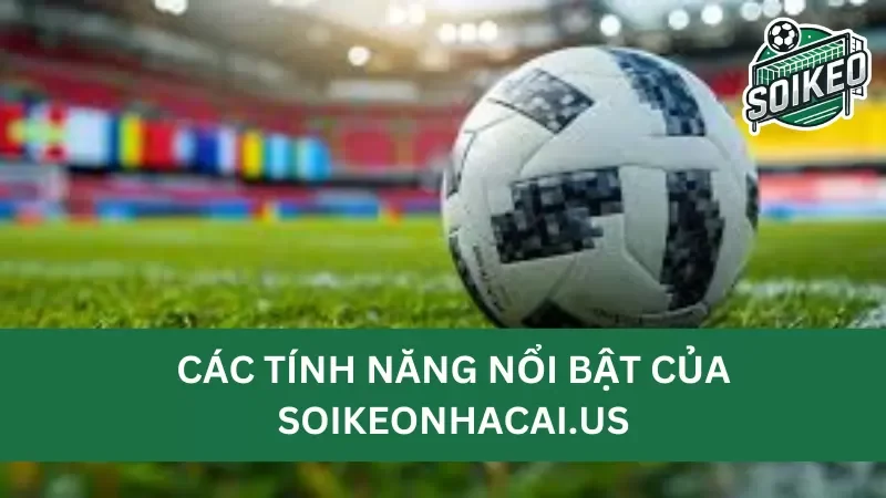 các tính năng nổi bật của trang Soikeonhacai.news