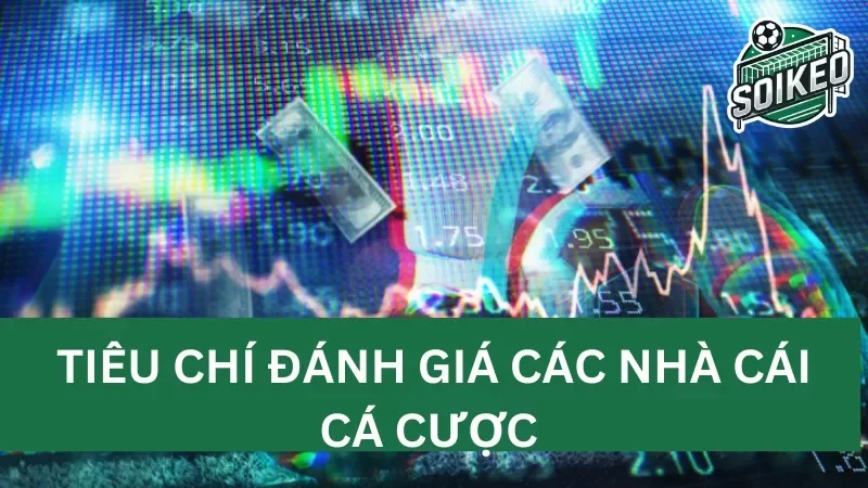 đánh giá và so sánh các nhà cái cá cược nổi tiếng