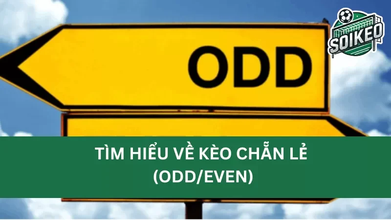 tìm hiểu về kèo chẵn lẻ (odd/even) là gì?