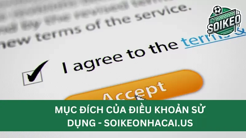 cách thức áp dụng điều khoản sử dụng Soikeonhacai.news