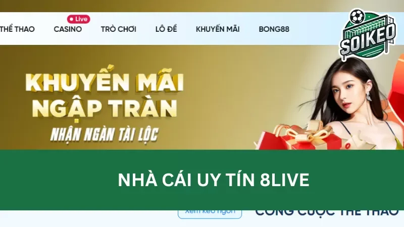 Tổng hợp các chương trình khuyến mãi tại 8Live mà ít đơn vị cá cược nào sở hữu