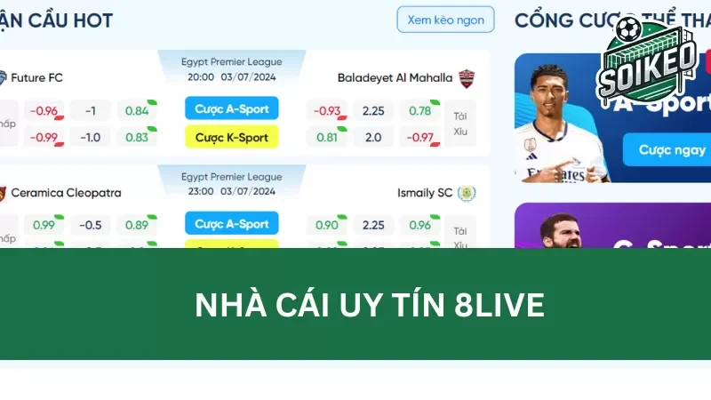 Điểm mặt những chuyên mục cá cược hấp dẫn tại 8Live