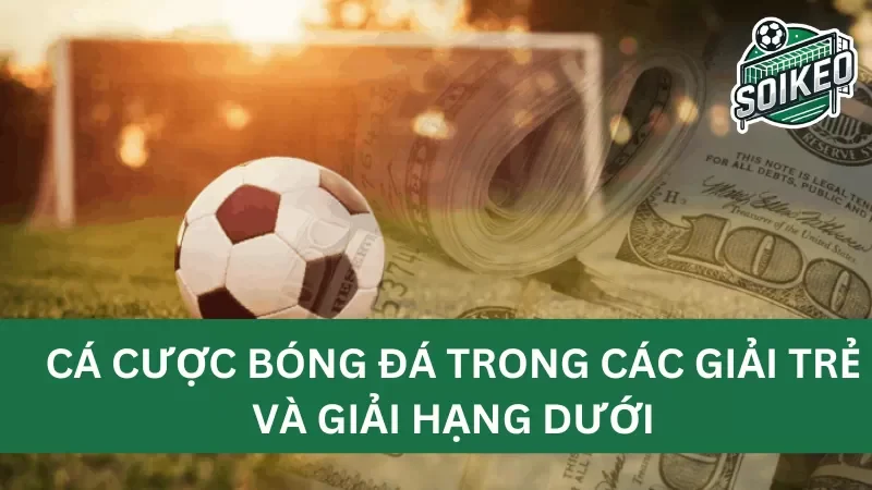 đặc điểm và lưu ý khi cá cược vào các giải trẻ và giải hạng dưới