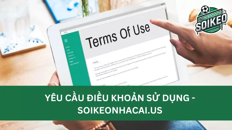 nội dung của điều khoản sử dụng Soikeonhacai.news