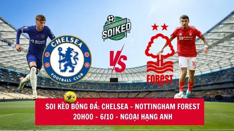 Soi kèo nhà cái Chelsea vs Nottingham Forest 20h00 - 06/10 - Ngoại hạng Anh