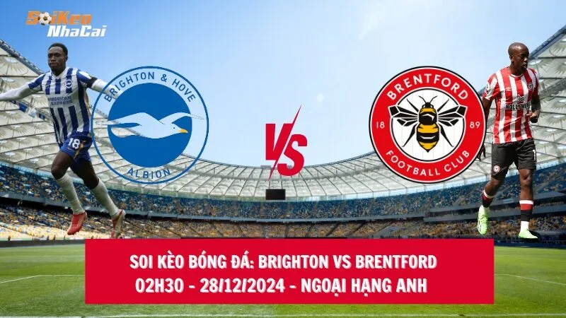 Soi kèo nhà cái Brighton vs Brentford - 02h30 - 28/12/2024 - Ngoại hạng Anh