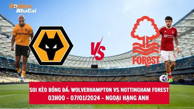 Soi kèo nhà cái Wolverhampton vs Nottingham Forest - 03h00 - 07/01/2024 - Ngoại hạng Anh